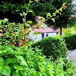 Casa vacanze Przystanek Spokoj - Sudety Srodkowe