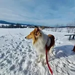 Przystanek Spokoj - Sudety Srodkowe *